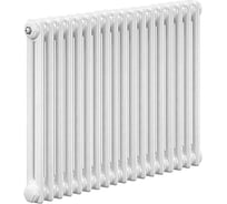 Стальной трубчатый радиатор IRSAP TESI/2 565 EL18 CL.01 T25 / RR205651801A425N01