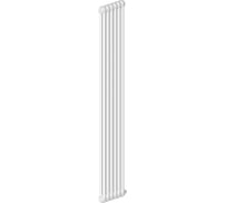 Радиатор IRSAP Tesi 2 21800/06 T30 3/4" h-1800 RT218000601A430N01