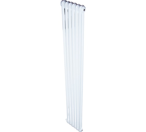 Радиатор IRSAP Tesi 2 21800/06 CL.01 белый T26 RT218000601RI26N01