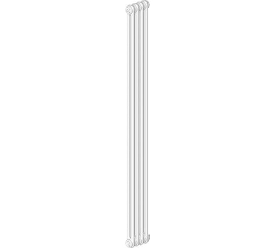 Радиатор IRSAP Tesi 2 21800/04 №26 h-1800 RT218000401A426N01