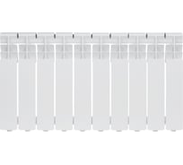 Радиатор алюминиевый литой OASIS eco 350/80/10 4640130986070