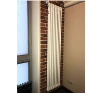 Радиатор трубчатый Arbonia 2180/06 №12 RAL 9016 3/4"