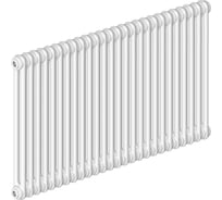 Стальной трубчатый радиатор IRSAP RT TESI/2 565 EL26 CL.01 T30 RT205652601A430N01