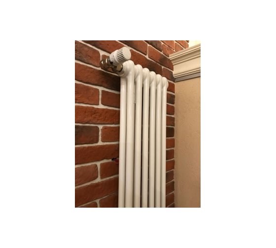 Трубчатый радиатор Arbonia 2180/06 № 12 RAL9016 3/4