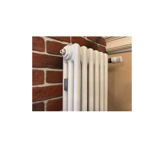 Трубчатый радиатор Arbonia 3180/06 № 12 RAL9016 3/4