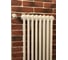 Трубчатый радиатор Arbonia 3180/10 № 12 RAL9016 3/4 5