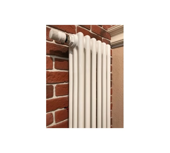 Трубчатый радиатор Arbonia 3180/08 № 69 ventil oben