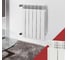 Биметаллический радиатор Fondital ALUSTAL 500/100 BIANCO 6 секций R90103406 4