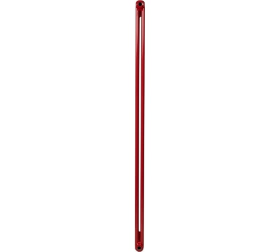 Радиатор IRSAP 212 TESI 21800 08 CL.05 красный T30 RR218000805A430N01