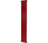 Радиатор IRSAP 211 TESI 21800 06 CL.05 красный T30 RR218000605A430N01