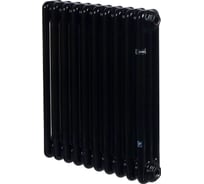 Радиатор IRSAP TESI 30565 16 cod.10 черный, с приварными ногами 2 RAL9005 T08 RR305651610A408N
