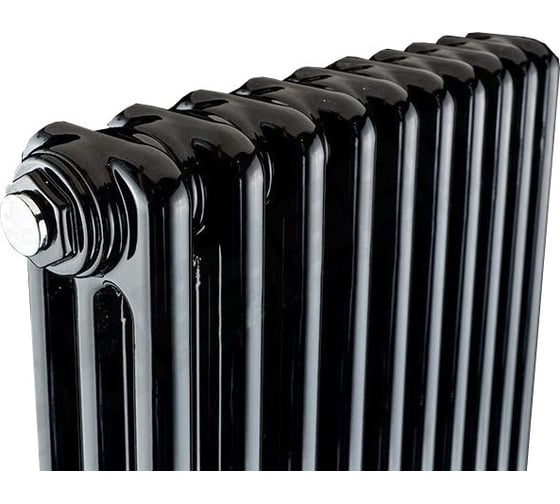 Радиатор IRSAP TESI 30565 16 cod.10 черный, с приварными ногами 2 RAL9005 T08 RR305651610A408N