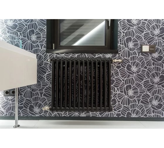 Радиатор IRSAP TESI 30565 16 cod.10 черный, с приварными ногами 2 RAL9005 T08 RR305651610A408N