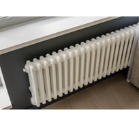 Трубчатый радиатор Arbonia 3030/22 № 12 RAL9016 3/4