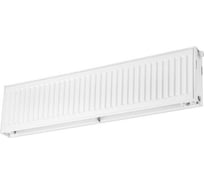 Стальной радиатор Federica Bugatti 22х300х800 универсальное подключение, белый, без крепежа 2035805