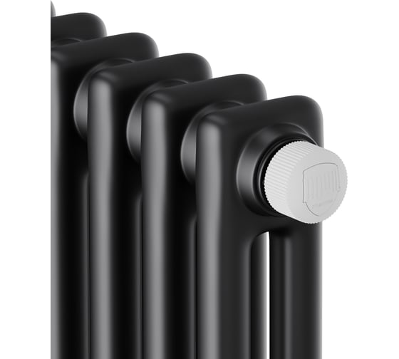 Дизайн-радиатор ROYAL THERMO Insignia VC2180 - 04 секц. RAL9005m НС-1631203