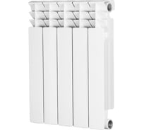 Биметаллический радиатор Radena CS 500/100 5 секций 009010405