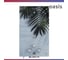 Газовый проточный водонагреватель OASIS серия Glass 20 LG 5