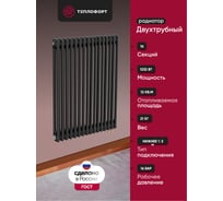 Трубчатый радиатор ТЕПЛОФОРТ ТР2057-16, НП 1/2, ТВ, черный мат двухтрубный, габаритная высота секции 575 мм (межосевое расстояние 500мм), 16 секции, нижнее подключение ½”, термовставка, цвет черный мат 200118