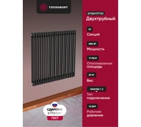 Трубчатый радиатор ТЕПЛОФОРТ ТР2057-22, НП 1/2, ТВ, черный мат двухтрубный, габаритная высота секции 575 мм (межосевое расстояние 500мм), 22 секции, нижнее подключение ½”, термовставка, цвет черный мат 200121