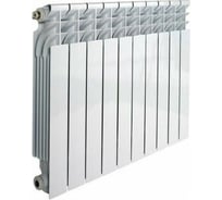 Биметаллический радиатор Radena CS 500 10 секций 009010210-01