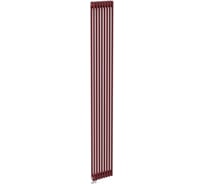 Трубчатый радиатор Теплофорт 10 секций ТР 2160-10, НП 1/2, гранат