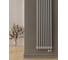 Трубчатый радиатор Теплофорт 17 секций ТР 3057-17, НП 1/2, серо-алюминиевый 2
