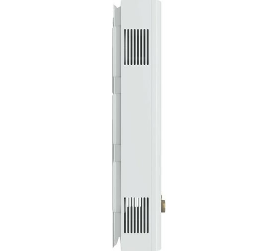 Газовый проточный водонагреватель lemax LMX Euro-20 165601