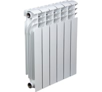Биметаллический радиатор Radena CS 500/100 6 секций 009010406