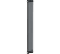 Стальной трубчатый радиатор отопления RIFAR TUBOG титан TUB 2180-06-DV1-TI