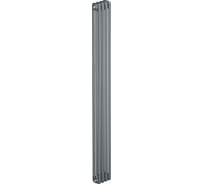 Стальной трубчатый радиатор отопления RIFAR TUBOG титан TUB 3180-04-TI
