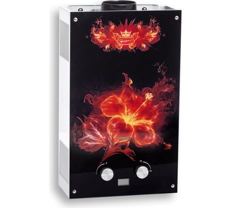 Газовый проточный водонагреватель WERTRUS 10EG FLOWER W1404