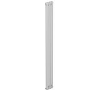 Трубчатый радиатор RIFAR TUBOG 2180 04 секц. бок. TUB 2180-04