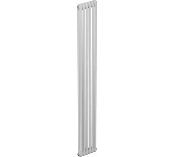 Трубчатый радиатор RIFAR TUBOG 2180 06 секц. бок. TUB 2180-06