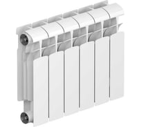 Биметаллический радиатор RIFAR ECOBUILD 300 06 секц. бок. R-EB-300-06