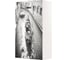 Газовая колонка Zanussi GWH 10 Fonte Glass Venezia НС-1077258 1