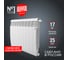 Радиатор ROYAL THERMO BiLiner 500 /Bianco Traffico VR - 10 секций НС-1196677 2