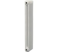 Радиатор IRSAP TESI 21800/04 №26 RT218000401A426