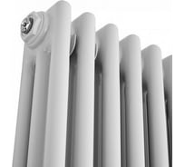 Радиатор IRSAP TESI 30565/24 №25 RT305652401A425