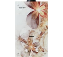 Газовый проточный водонагреватель OASIS Eco B-20 4670004377819