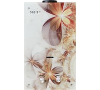 Газовый проточный водонагреватель OASIS Eco B-24 кВт 4670004377826