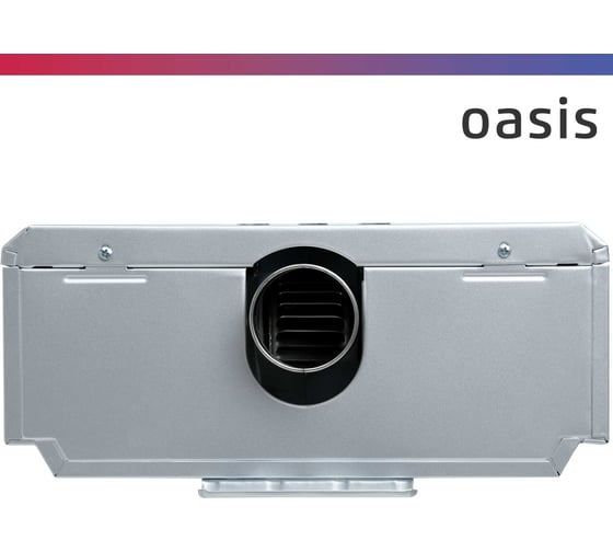 Газовый проточный водонагреватель Oasis 20 S/TUR