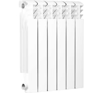 Алюминиевый радиатор Radena R 1000 500/100 6 секций 008010403