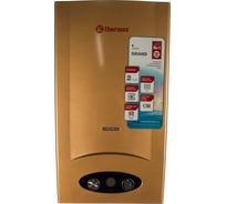 Газовый проточный бытовой водонагреватель Термекс G 20 D Golden brown ЭдЭБ00937