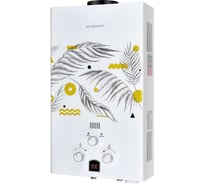 Газовый проточный водонагреватель Edisson бытовой E 20 GD (Каннская ветвь) ЭдЭБ02946