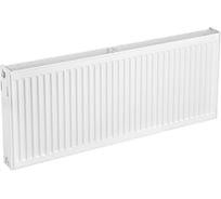 Радиатор AXIS 22 300x900 Classic 23009C
