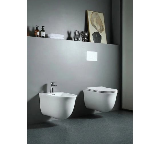 Подвесное биде Aquatek КЛАССИК 525x365x340 AQ1160-00 00000130586