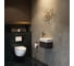 Маленькая раковина в ванную комнату или туалет Wellsee WC Area : подвесная или накладная, ширина умывальника 45 см, цвет глянцевый белый 151804000 8