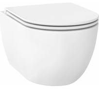 Безободковый подвесной унитаз Wellsee Chalice Perfection 182608001