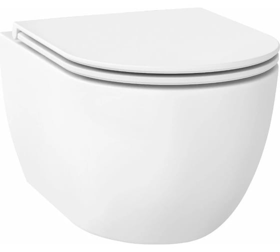 Безободковый подвесной унитаз Wellsee Chalice Perfection 182608001 1